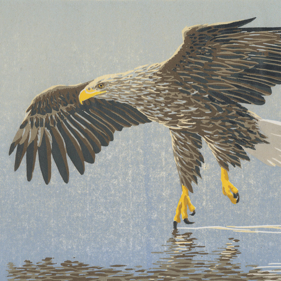 Erik VAN OMMEN - Sea Eagle - Zeearend - Color woodcut on Japan paper detail