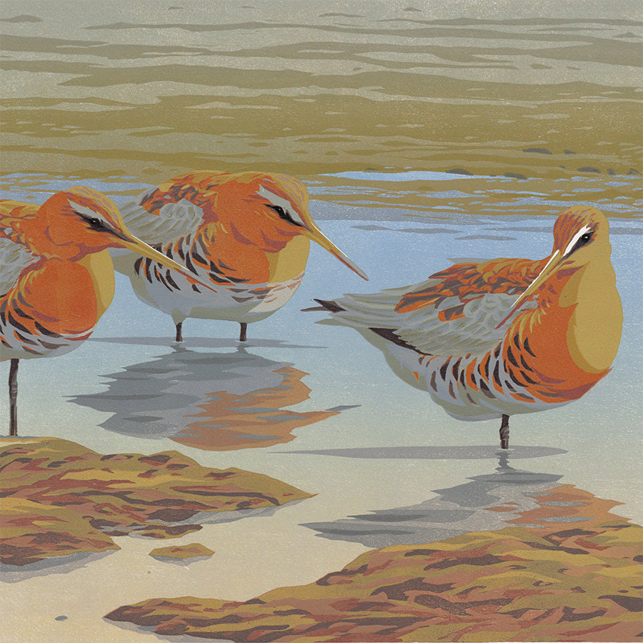 Erik Van Ommen - Drie Grutto's - Three Black-Tailed Godwits - color woodcut reduction - detail