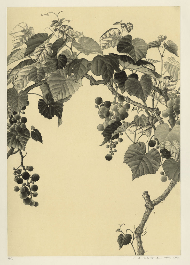 Grape Leaves - 絵葉書