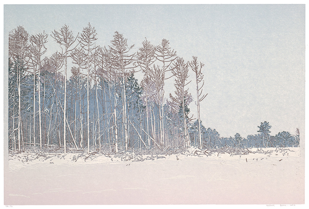 Grietje Postma - 2018-II - color woodcut reduction - snowcape - snowy landscape desolate