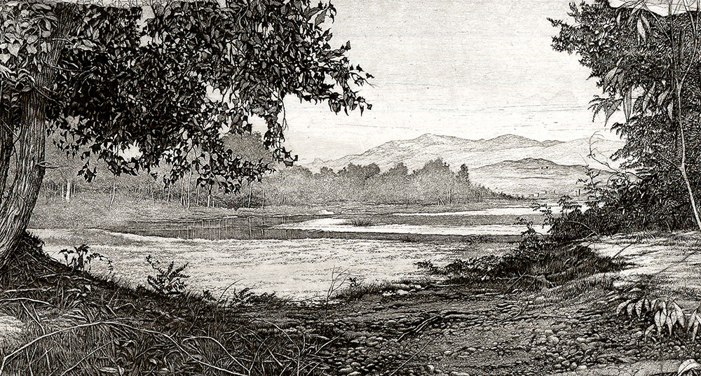 Etching and drypoint - by CESCHIN, Livio - titled: By the Piave River