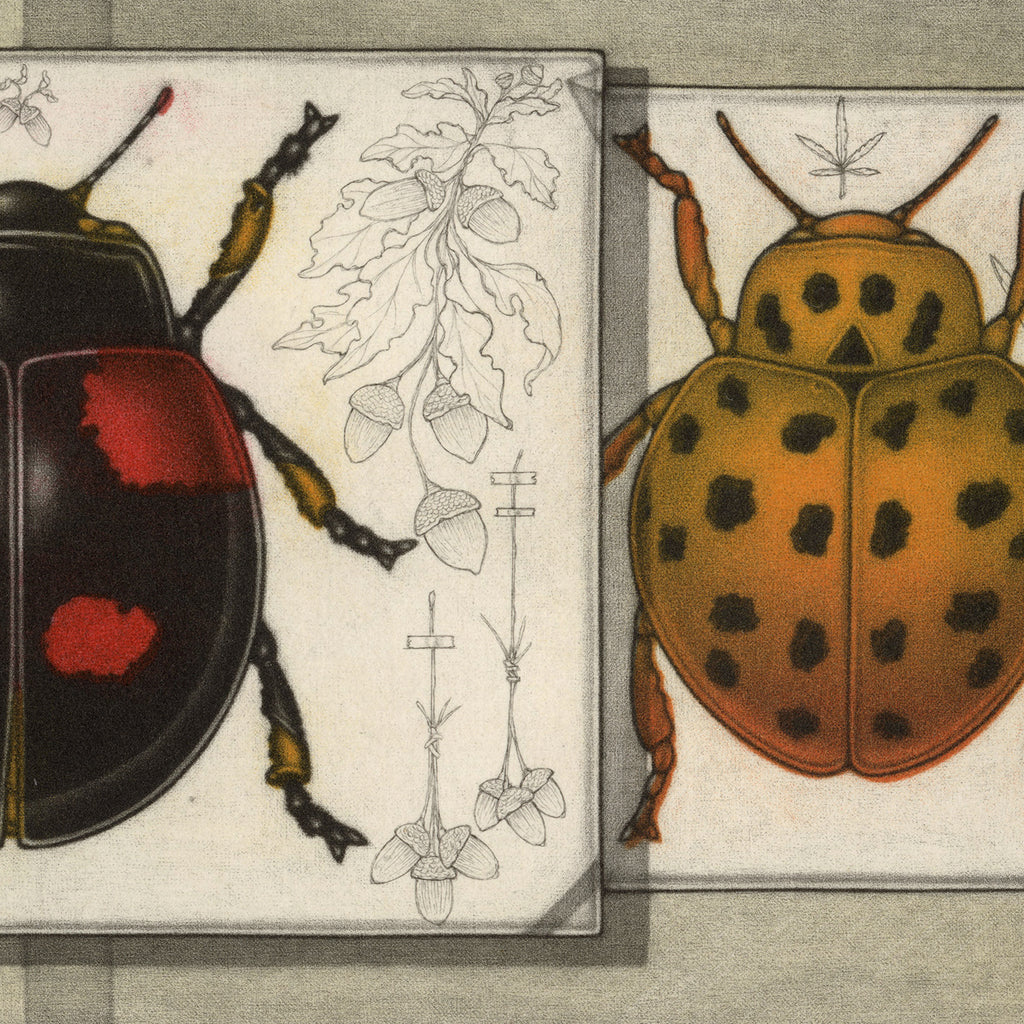 Michel Estebe - Deux coccinelles - two beetles - color mezzotint - detail