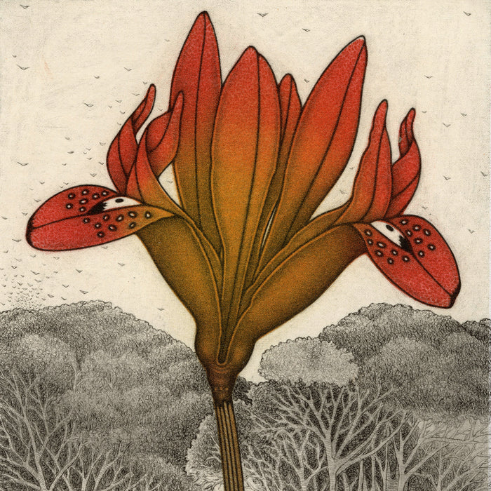 Michele Estebe - Iris - 2007 - color mezzotint - detail