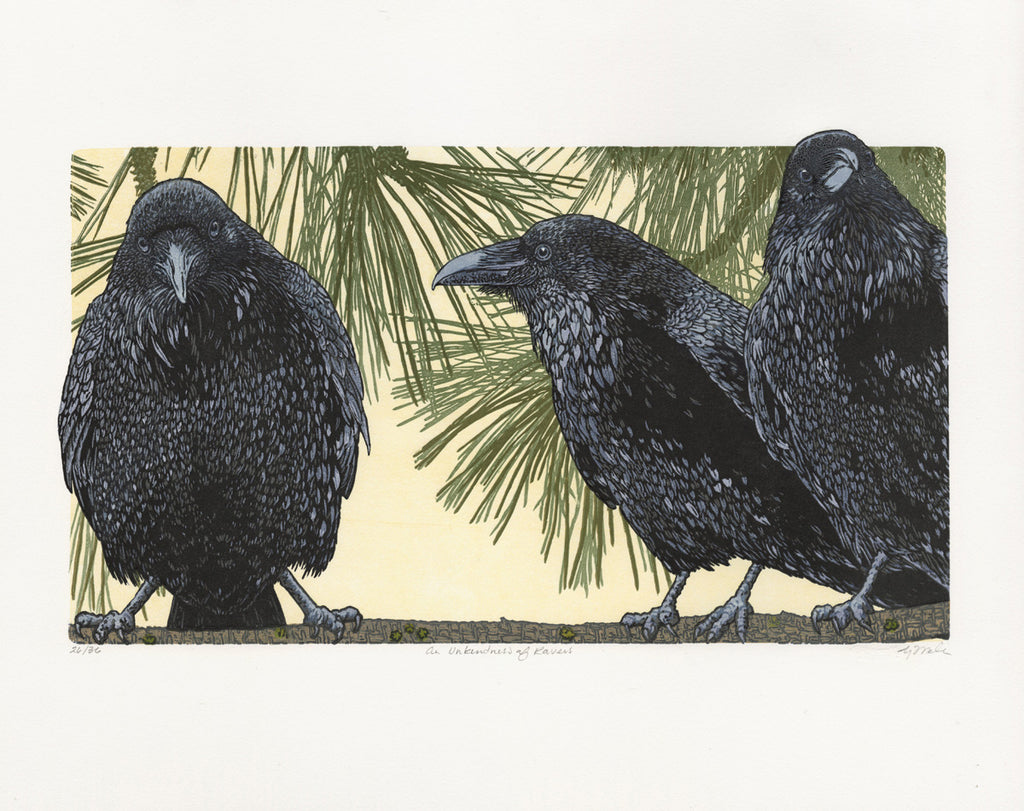 Monique WALES Ravens Feathers. greens, purples, ambers shimmering  deep-black — Mesh Art Gallery