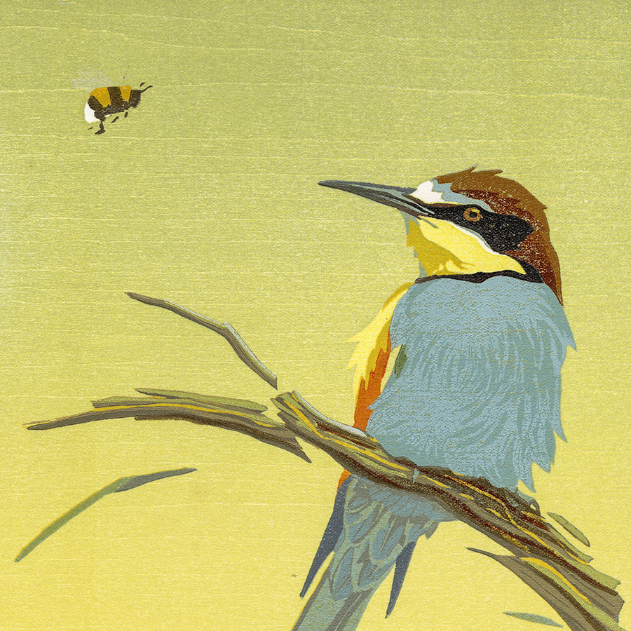 Erik VAN OMMEN - Bee-eater with Bee - Bijeneter met Bij - Color woodcut reduction - detail