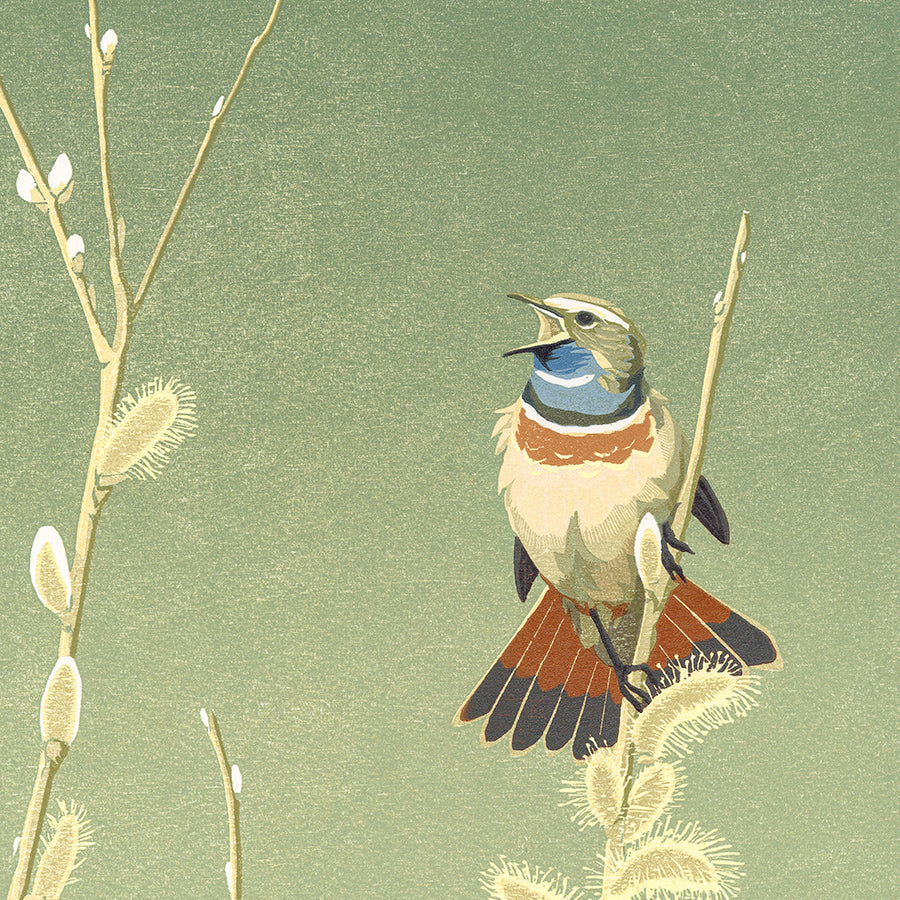 Erik VAN OMMEN - Blauwborst in Wilg - Bluethroat in Willow - Color woodcut reduction - detail