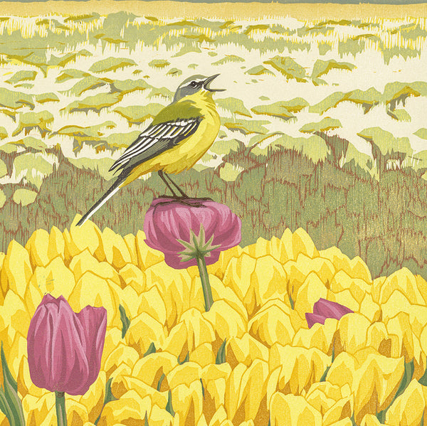 Erik VAN OMMEN - Gele kwikstaart - Yellow Wagtail - Color woodcut