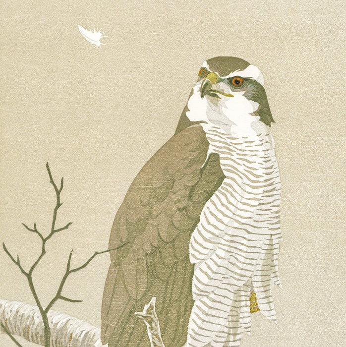 Color woodcut - by VAN OMMEN, Erik - titled: Hawk in the Mist