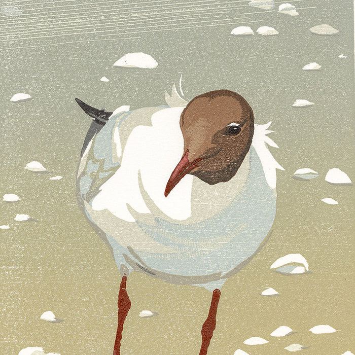 Erik VAN OMMEN - Kokmeeuw in de Wind - Black-headed Gull in the Wind - Color woodcut reduction - detail