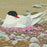 Erik VAN OMMEN - Spitsbergen – Breeding Tern - Spitsbergen – Breeding Tern - Color woodcut reduction - detail