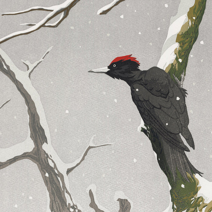 color woodcut reduction - by VAN OMMEN, Erik - titled: Black Woodpecker