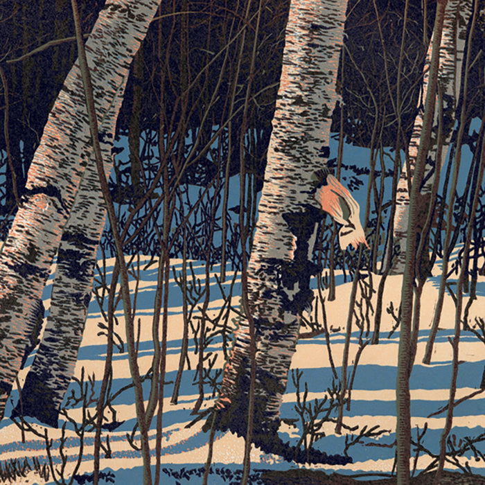 Linocut - by HAYS, William H. - titled: White Birch Shadows