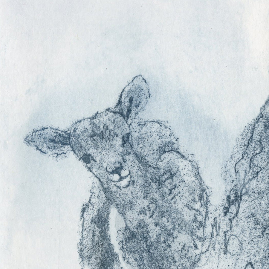 Anna Jeretic - Agneau Sauvage - Wild Lamb - blue ink - detail