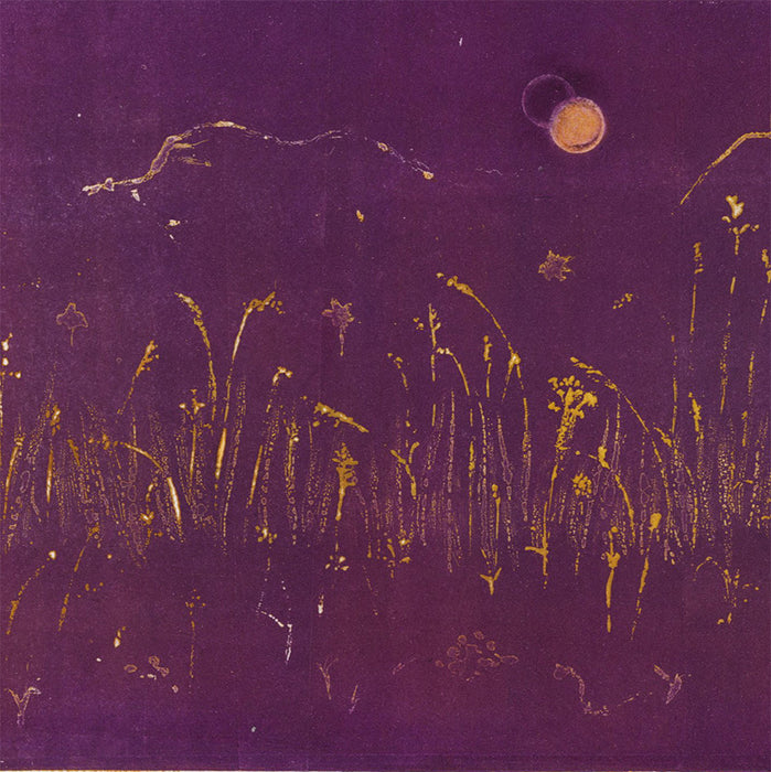 Anna Jeretic - Herbes Illuminees - Illuminated Grasses - detail