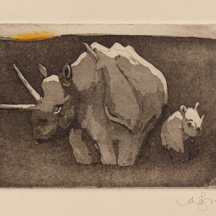 Anna Jeretic - Rhinoceros - aquatint handcolored - detail
