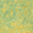 Anna Jeretic - Singes Araignees - 5of30 - color aquatint - celadon yellow - bright sun - detail