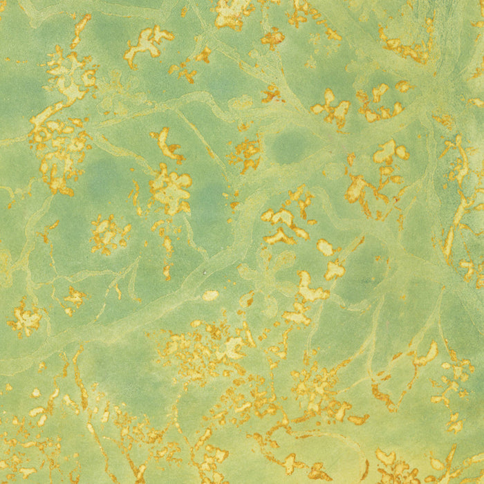 Anna Jeretic - Singes Araignees - 5of30 - color aquatint - celadon yellow - bright sun - detail