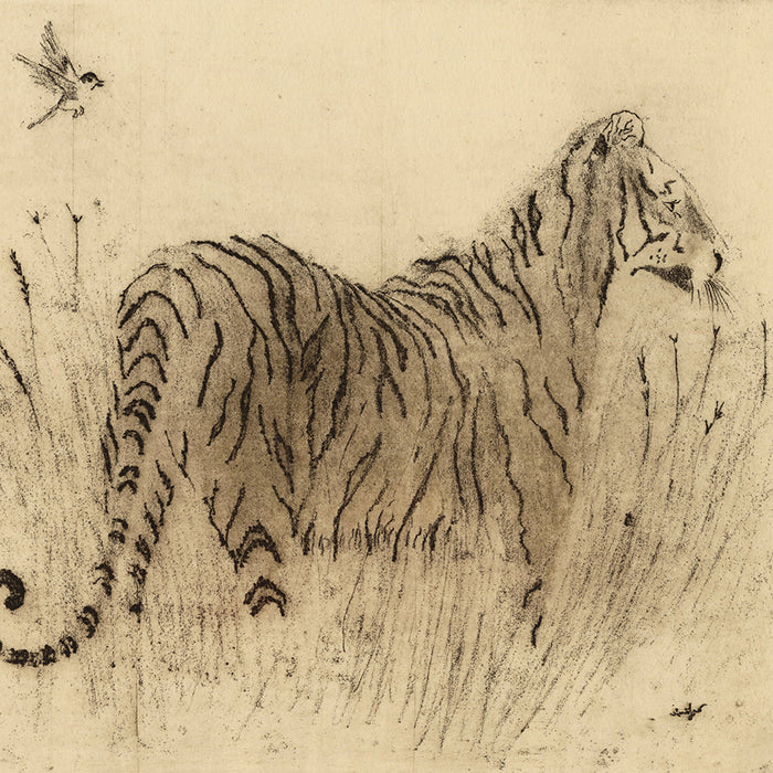 Anna Jeretic - Tigre du Bengal - soft-ground etching - EA - detail