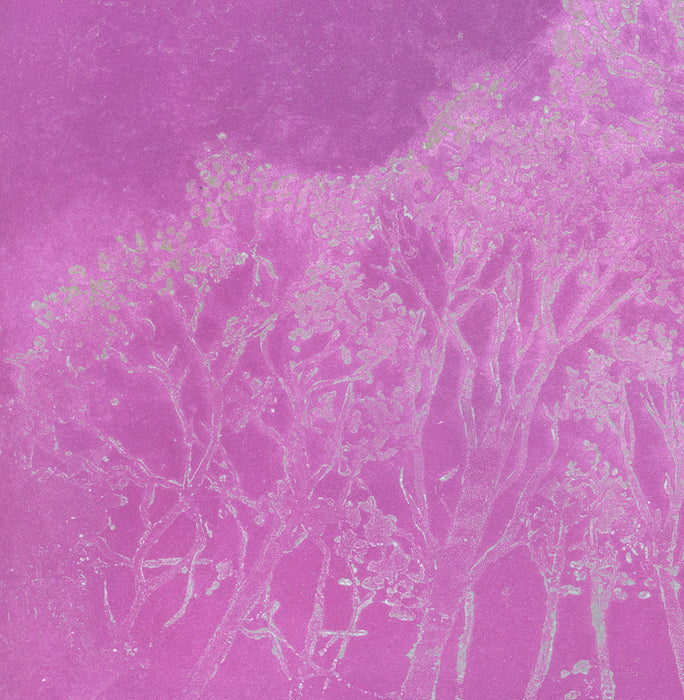 Anna Jeretic - Trees against the sky - sugarlift aquatint - pink silver trees
