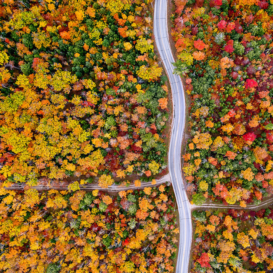 Daniel - Anderson Highway and Driveways - birds eye view fall foliage - detail