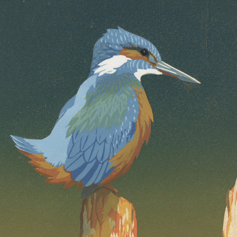 Erik VAN OMMEN - Kingfisher on a Fence - Ijsvogel op Schutting - Color woodcut detail
