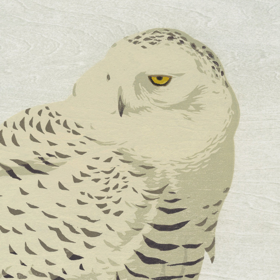 Erik VAN OMMEN - Snowy Owl - Sneeuwuil - Color woodcut - detail.