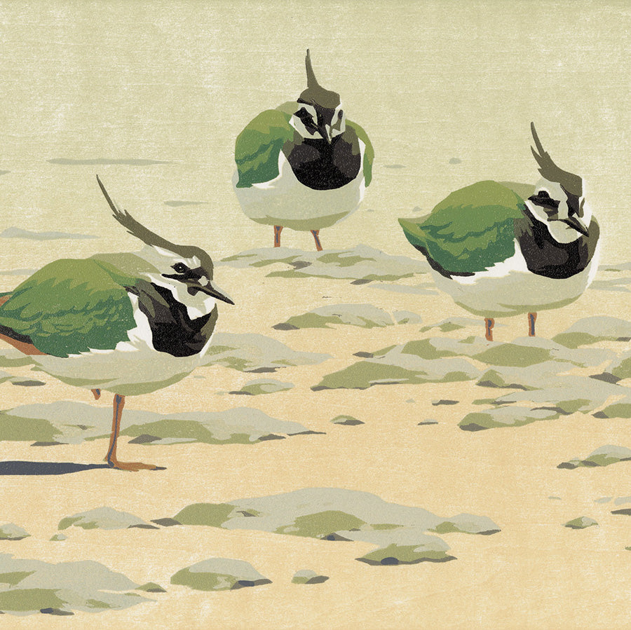 Erik Van Ommen - Drie kieviten - Three Lapwings - color woodcut reduction - detail