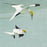 Erik Van Ommen - Vliegende Jan Van Genten - Flying Gannets - color woodcut reduction - detail
