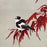 Erik van Ommen - Withalsvliegenvanger - White-Collared Flycatcher - bird red maple leaves - detail
