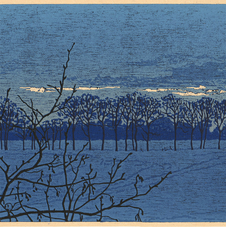 Grietje Postma - 2011-VI - color woodcut reduction - detail