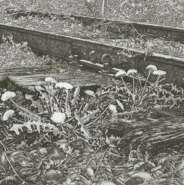 Livio Ceschin - Flora Ferroviaria - Railway Flower - dandeloin in railway tracks