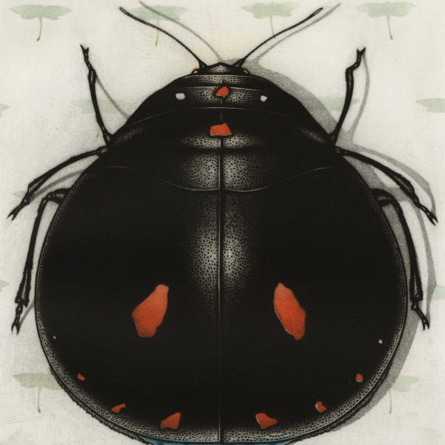 Michel ESTEBE - Small Insect in a Landscape - Petit Insects et sur Habitat - Color mezzotint - 2009