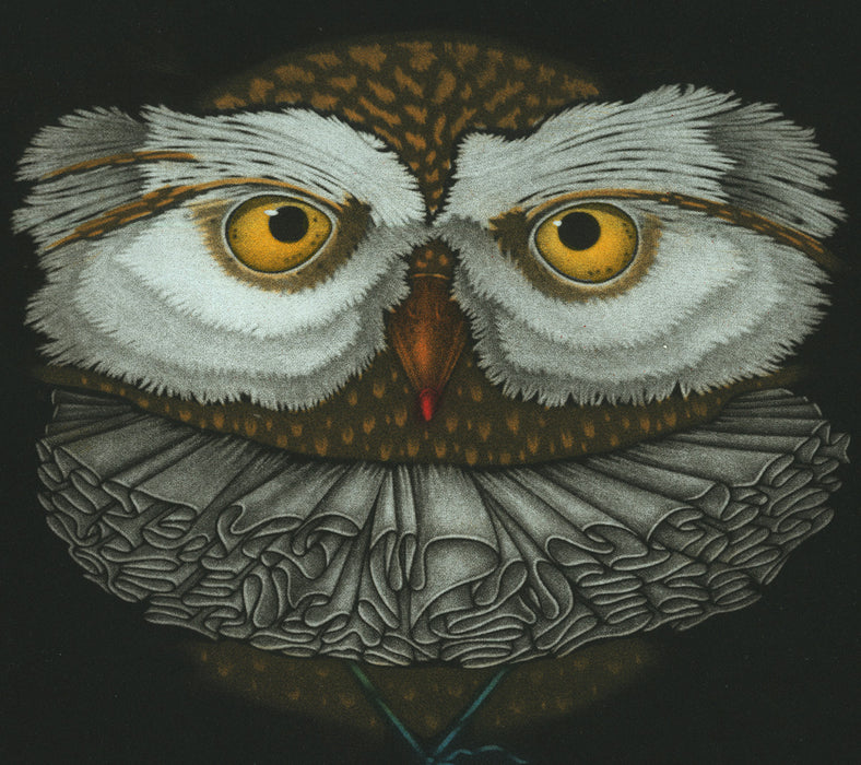 Michel Estebe - Chouhette Hulotte - Tawny Owl - color mezzotint - detail.
