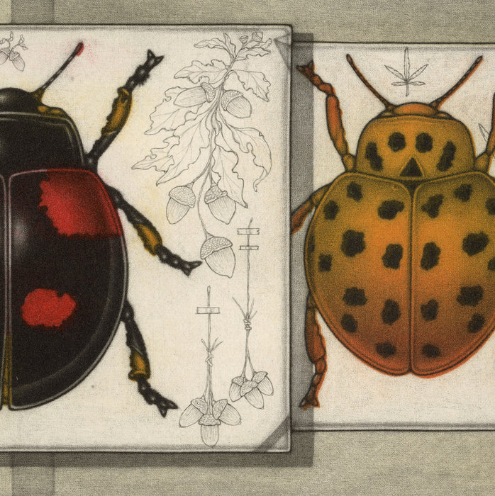 Michel Estebe - Deux coccinelles - two beetles - color mezzotint - detail