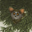 Michel Estebe - Galago Lemur - final state - bush babies - nagapies - detail