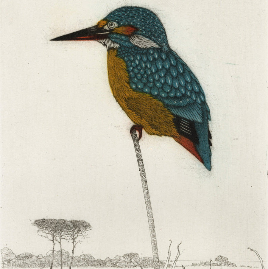 Michel Estebe - Kingfisher - Martin-Pecheur - roseau reed - detail