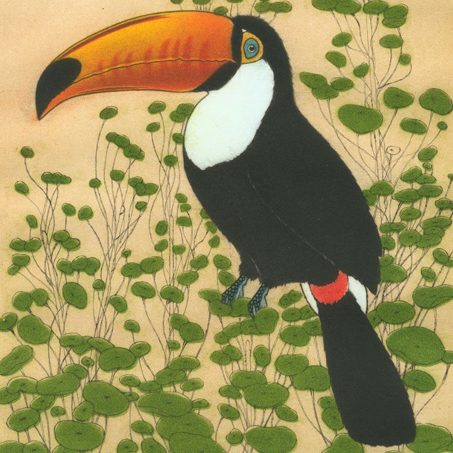 Michel Estebe - Toucan - color mezzotint - maniere noire - detail
