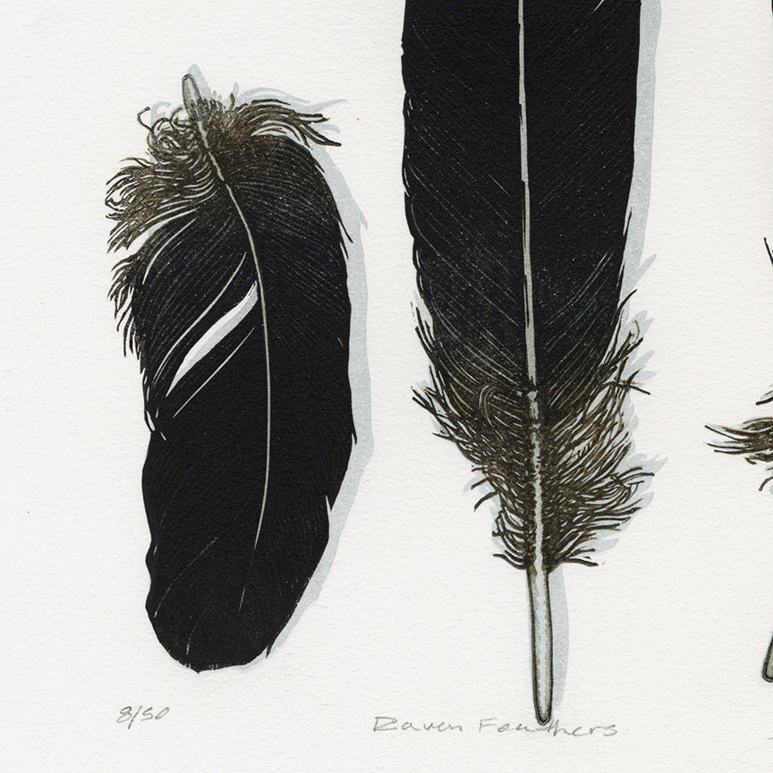 Monique WALES Ravens Feathers. greens, purples, ambers shimmering  deep-black — Mesh Art Gallery