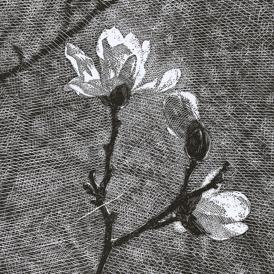 Olesya Dzhuraeva - Awakening - magnolia branch in bloom - linocut 2019 - detail