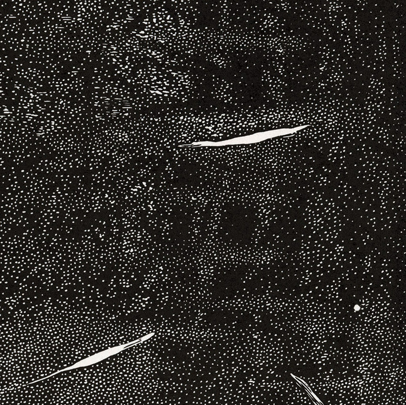 Olesya Dzhuraeva - Silence - trees branches reflected wet ground reflection rain puddle - detail