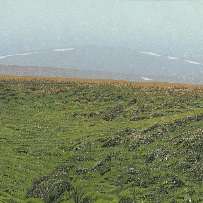 Siemen Dijkstra - Dreams of a Landscapist - Spitsbergen Sabineland - Agardhalen - color woodcut